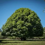 Domaine De Malouzies Alojamento de Acomodação e Pequeno-almoço 3*